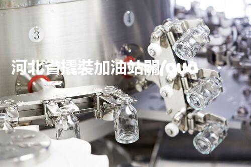 河北省撬裝加油站關(guān)鍵技術(shù)突破！化工廠拆除工程的新方法探索？